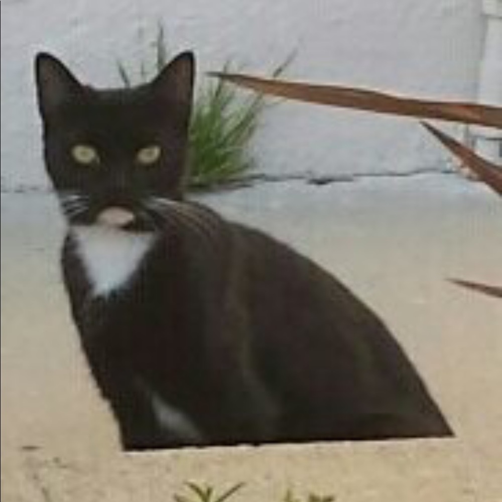 Meet your Posher, Douglas